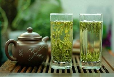 紫陽富硒茶區域品牌價值再創歷史新高 從日常飲品到健康生活的新選擇