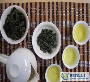 品味秋韻 2011年鐵觀音秋茶新上市，邀您共賞醇香